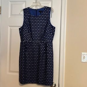 J crew blue dress with silver polka dots. Never worn.